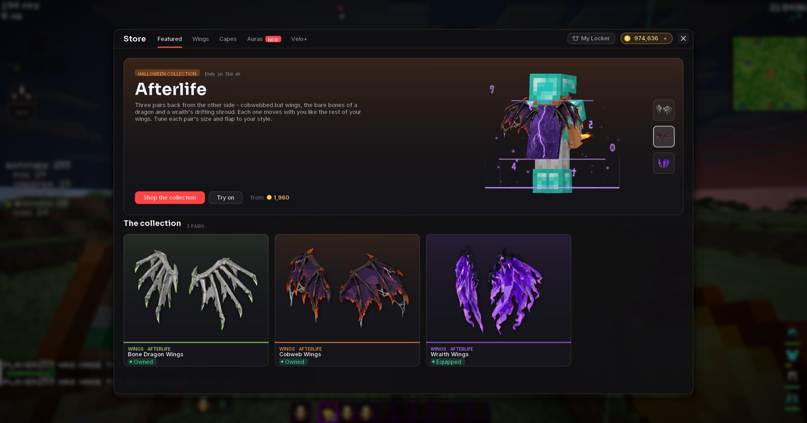 The Store in game